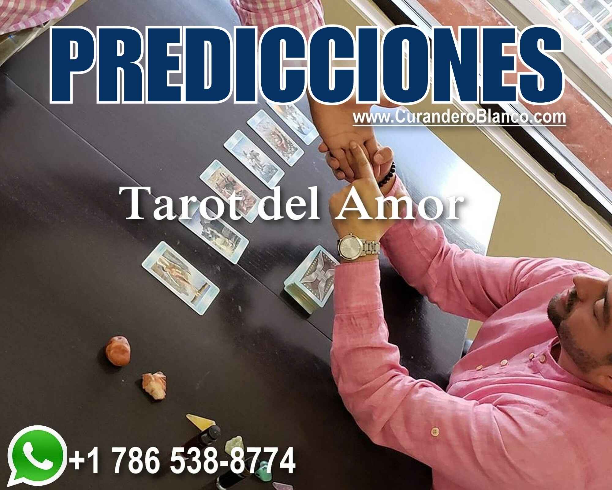 Lectura de mano y tirada de cartas del tarot del amor presencial por el curandero blanco.